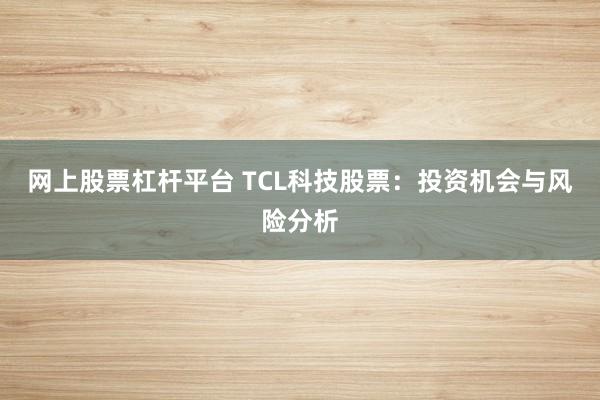 网上股票杠杆平台 TCL科技股票：投资机会与风险分析