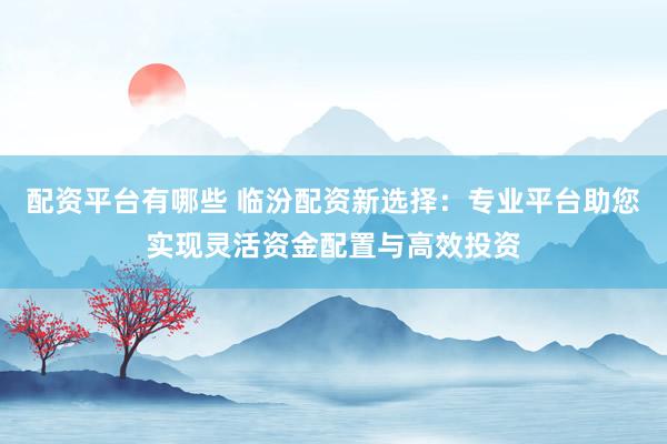 配资平台有哪些 临汾配资新选择：专业平台助您实现灵活资金配置与高效投资