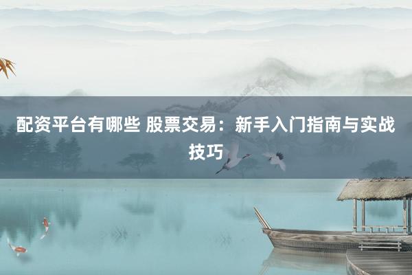 配资平台有哪些 股票交易：新手入门指南与实战技巧