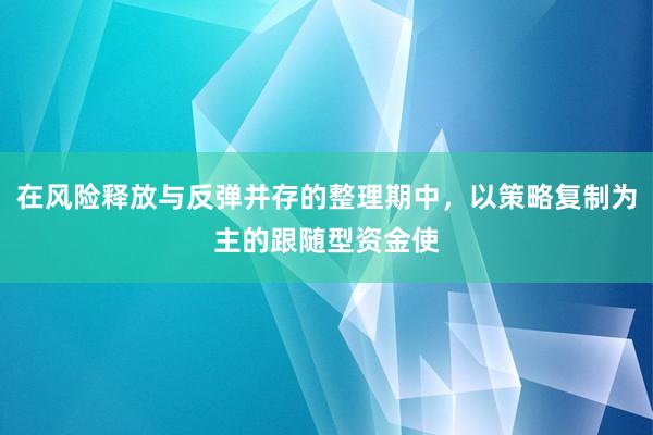 在风险释放与反弹并存的整理期中，以策略复制为主的跟随型资金使