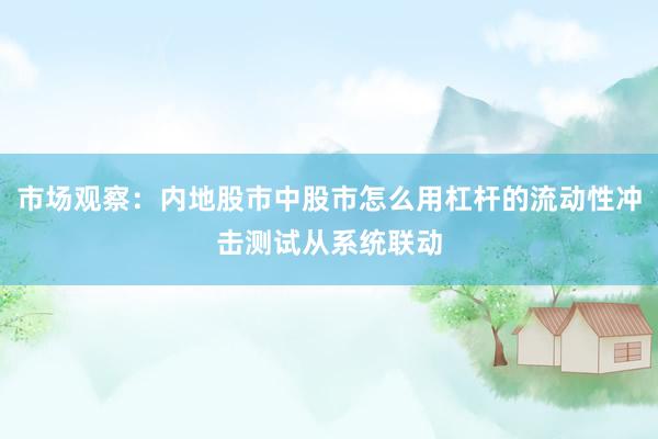 市场观察：内地股市中股市怎么用杠杆的流动性冲击测试从系统联动