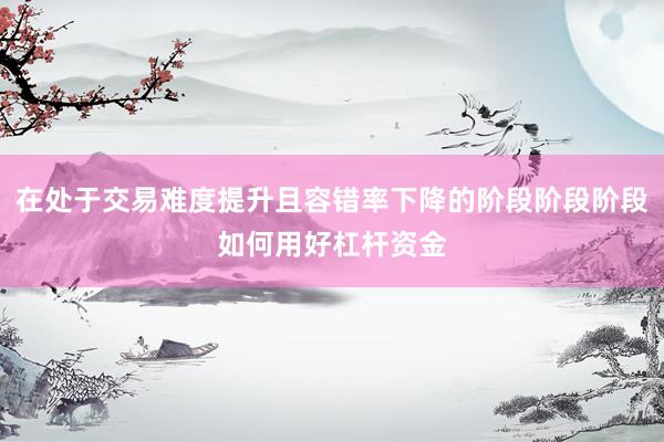 在处于交易难度提升且容错率下降的阶段阶段阶段如何用好杠杆资金