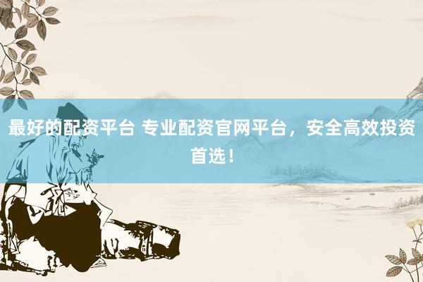 最好的配资平台 专业配资官网平台，安全高效投资首选！