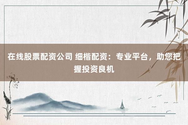 在线股票配资公司 细楷配资：专业平台，助您把握投资良机